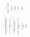 Fig. 09 - Network-accessible collaborative annotation tool