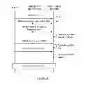 Fig. 05 - SYSTEM AND METHOD FOR MANAGING TAGGED IMAGES