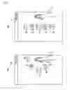 Fig. 04 - Information processing apparatus, information processing method, and computer program product for displaying different items to be processed according to different areas on a display in a locked state