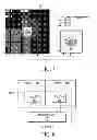 Fig. 08 - Mixed signal IP core prototyping system
