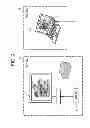 Fig. 03 - Communications system and method, information processing apparatus and method, information management apparatus and method, recording medium and program