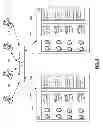 Fig. 05 - Providing Virtualized Private Network Tunnels