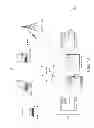 Fig. 02 - Methods and systems for preventing access to display graphics generated by a trusted virtual machine