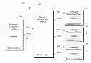 Fig. 01 - METHOD FOR AUTHENTICATING USERS AND DEVICES ON A COMPUTING NETWORK