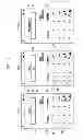 Fig. 08 - APPARATUS AND METHOD FOR UNLOCKING SCREEN AND EXECUTING OPERATION IN A PORTABLE TERMINAL