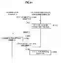 Fig. 43 - Image processing device, image processing system, image processing method, and program