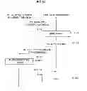 Fig. 49 - Image processing device, image processing system, image processing method, and program