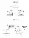 Fig. 02 - Rights object acquisition method of mobile terminal in digital right management system