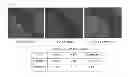 Fig. 12 - METHODS OF GENERATING XENOCHIMAERIC MICE WITH TUMOR AND HEMATOPOIETIC SYSTEM FROM THE SAME HETEROLOGOUS SPECIES