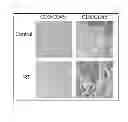 Fig. 27 - METHODS OF GENERATING XENOCHIMAERIC MICE WITH TUMOR AND HEMATOPOIETIC SYSTEM FROM THE SAME HETEROLOGOUS SPECIES