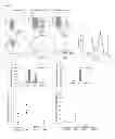 Fig. 29 - METHODS OF GENERATING XENOCHIMAERIC MICE WITH TUMOR AND HEMATOPOIETIC SYSTEM FROM THE SAME HETEROLOGOUS SPECIES
