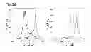 Fig. 31 - METHODS OF GENERATING XENOCHIMAERIC MICE WITH TUMOR AND HEMATOPOIETIC SYSTEM FROM THE SAME HETEROLOGOUS SPECIES