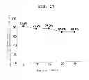 Fig. 11 - Rat embryonic stem cell