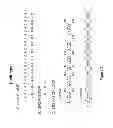 Fig. 03 - RNA CONSTRUCTS