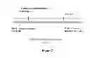 Fig. 09 - RNA CONSTRUCTS