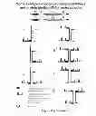 Fig. 12 - RNA CONSTRUCTS