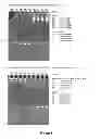 Fig. 15 - RNA CONSTRUCTS