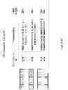 Fig. 18 - RNA CONSTRUCTS