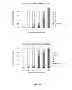 Fig. 24 - RNA CONSTRUCTS