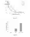 Fig. 26 - RNA CONSTRUCTS