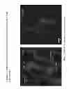 Fig. 12 - Guard Cell Promoters and Uses Thereof