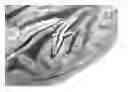 Fig. 01 - Processing Cocoa Beans And Other Seeds