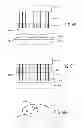 Fig. 07 - Processing Cocoa Beans And Other Seeds