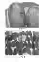 Fig. 10 - Processing Cocoa Beans And Other Seeds