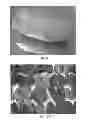 Fig. 11 - Processing Cocoa Beans And Other Seeds