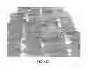 Fig. 14 - Processing Cocoa Beans And Other Seeds