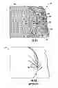 Fig. 14 - Articles of apparel with auxetic fabric