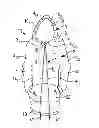 Fig. 01 - Hooded garment with hidden drawstring