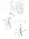 Fig. 02 - Lab coat article and method