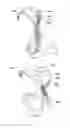 Fig. 09 - Head covering