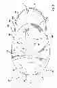 Fig. 03 - Speaker hat