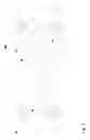 Fig. 04 - Paper for transfer pattern printing