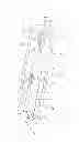 Fig. 01 - Electric toothbrushes