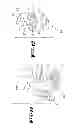 Fig. 13 - Roller