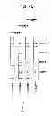 Fig. 13 - Fixturing apparatus