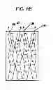 Fig. 19 - Fixturing apparatus