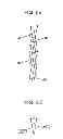 Fig. 16 - Fixturing apparatus