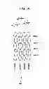 Fig. 15 - Fixturing apparatus