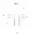 Fig. 02 - Fixturing apparatus