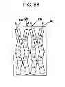 Fig. 19 - Fixturing apparatus