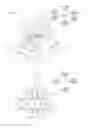 Fig. 06 - Clip and elastic body attachment component