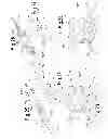 Fig. 07 - Grass-cutting head