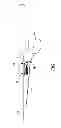Fig. 02 - Spin and casting rod with automatic line release