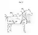Fig. 14 - METHOD AND APPARATUS FOR HORSE BLANKET