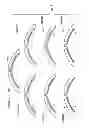 Fig. 10 - Steering wheel light bar