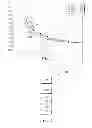 Fig. 05 - Engine assembly with variable valve displacement on one cylinder bank and method of controlling same